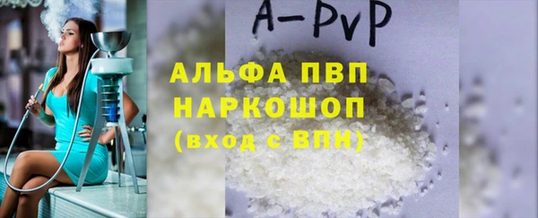 спиды Вяземский