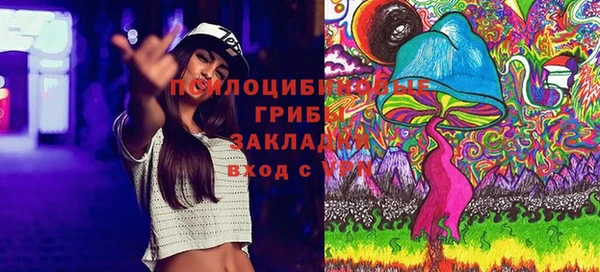 спиды Вяземский