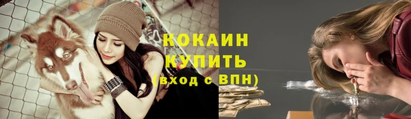 спиды Вяземский