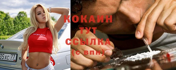 спиды Вяземский