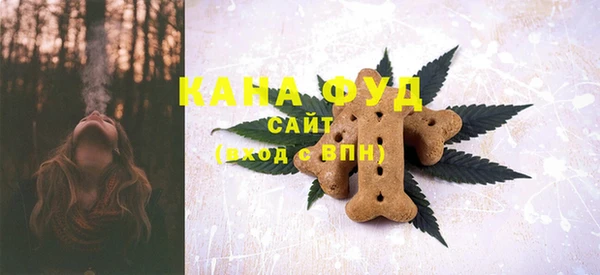 спиды Вяземский