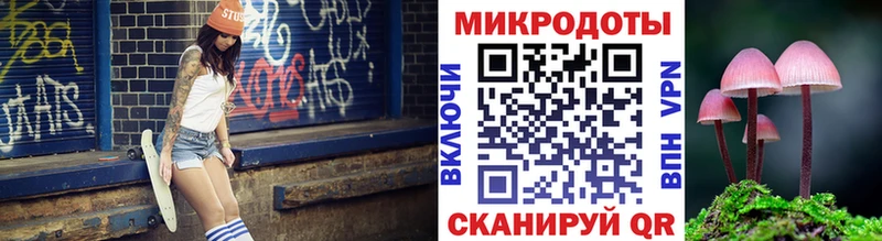 закладки  Лихославль  Псилоцибиновые грибы Cubensis 